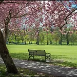 Modern Stylish Nests - Central Edinburgh Location